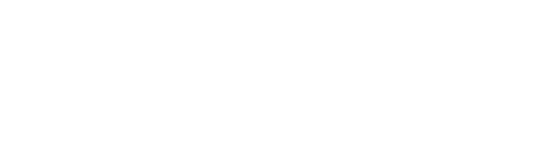 RocketFrog